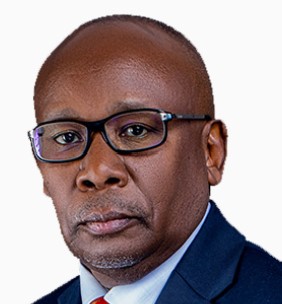 Prof. Githu Muigai, EGH, SC photo