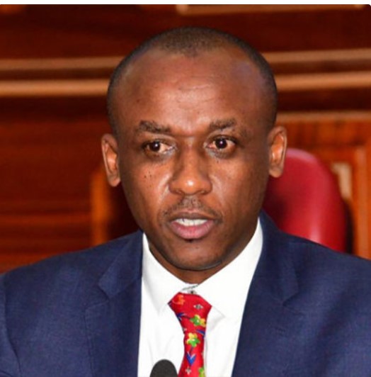 H.E Mutula Kilonzo Junior photo